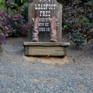 DSC 1415