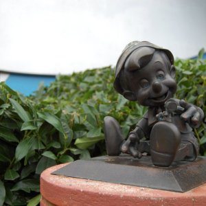 DSC 1470