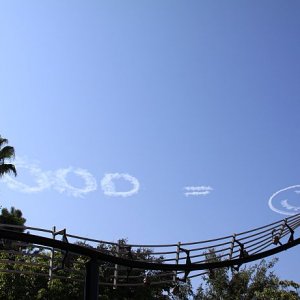 IMG 7613