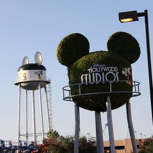 IMG 7852