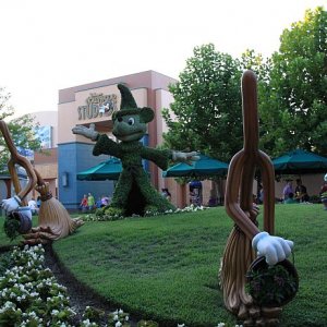 IMG 7880