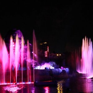 IMG 7951