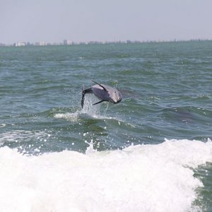 IMG 8147