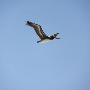 IMG 8275