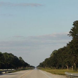 IMG 8499