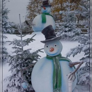 Winter Wonderland