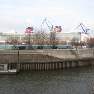 IMG 3594