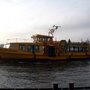Schiff1
