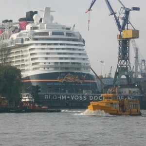 Schiff4