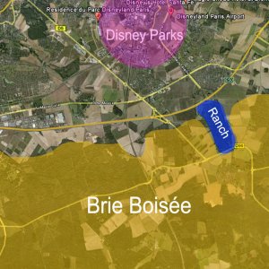 Brie Boisee