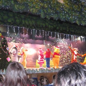 Winnie the Pooh Show