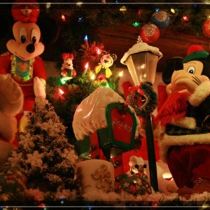 comp IMG 8920