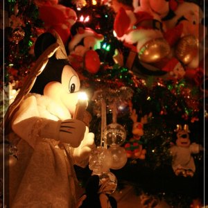 comp IMG 8922
