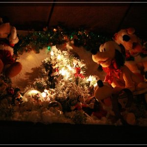 comp IMG 8942