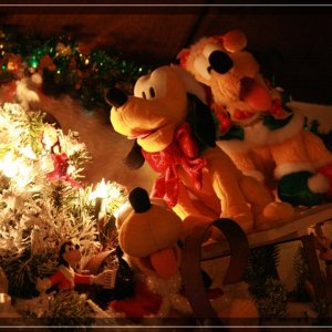 comp IMG 8955