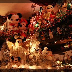 comp IMG 8987