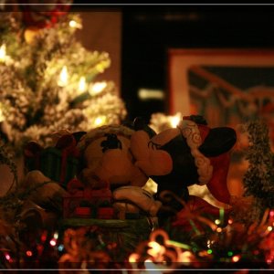 comp IMG 9006