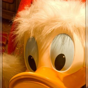 Disneyland 18.10.2010 012