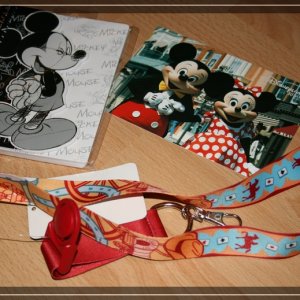 comp IMG 8887