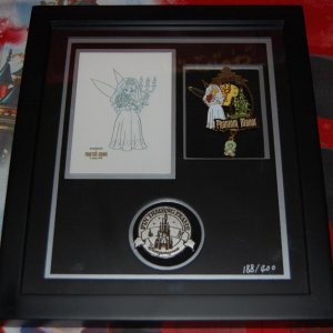 DSC 6565