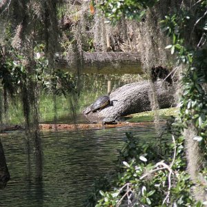 IMG 8973