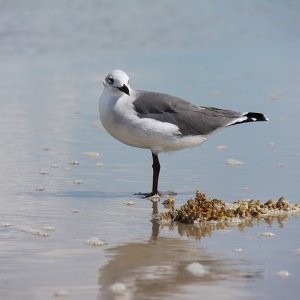 IMG 9028