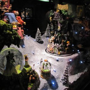 IMG 0980