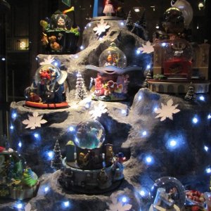 IMG 0981