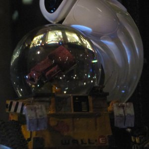 IMG 0989