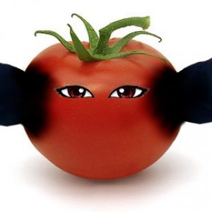 Pfomate, Pfo, Mate, Tomate, Google Pfomate, Google-Pfomate