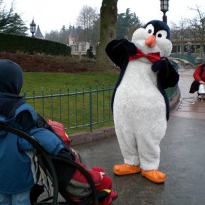 Pinguin