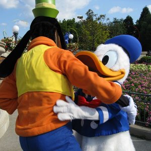 k IMG 2989