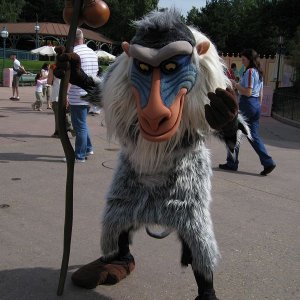 k IMG 3049