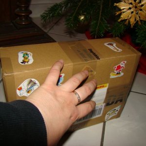 Gleich habe ich dich ...