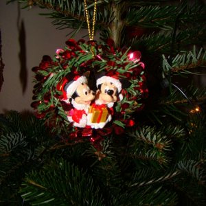 Das Mitbringsel von unserem letzten WDW Besuch!