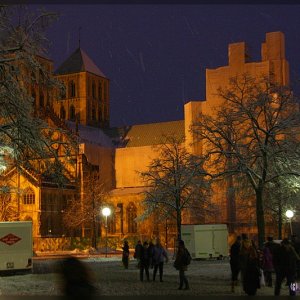 Der Dom zu Münster