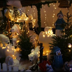 Weihnachtsmarkt in Münster