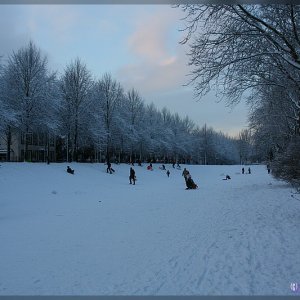 Schlittenfahren an der Promenade in Münster