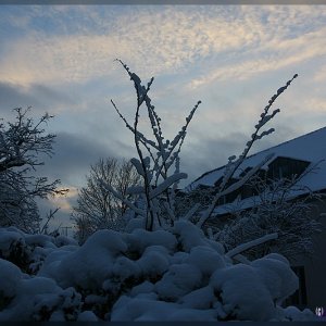 Schnee in Münster