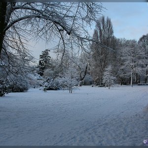 Hörster Friedhof in Münster