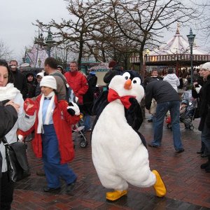 k IMG 1906
