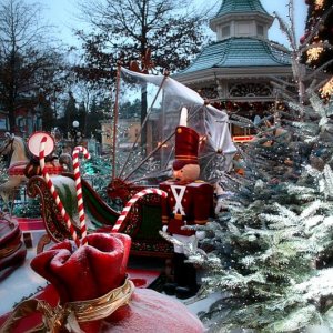 Beitrag 16