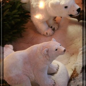 comp IMG 9467