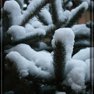 comp IMG 9451