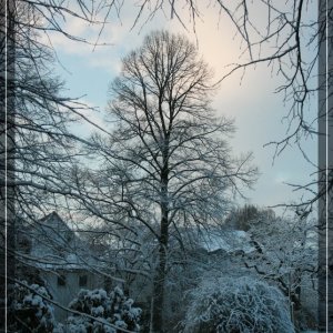 comp IMG 9420