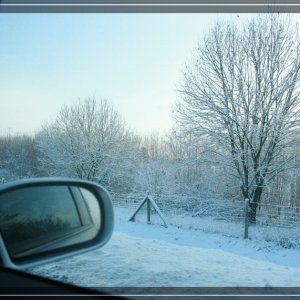 comp IMG 9395