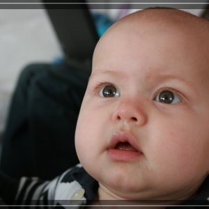 comp IMG 9375