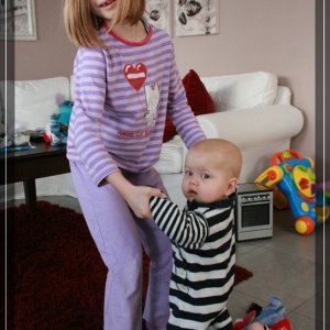comp IMG 9311