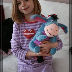 comp IMG 9270