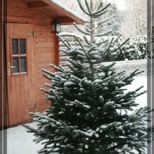 comp IMG 9264